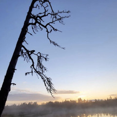 perfume genius - otherside cover