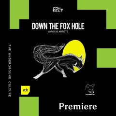 PREMIERE: Digitus - Seek N Find [The Hidden Fox]