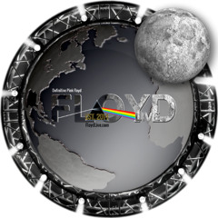 Comfortably Numb Floyd Live 12-12-24