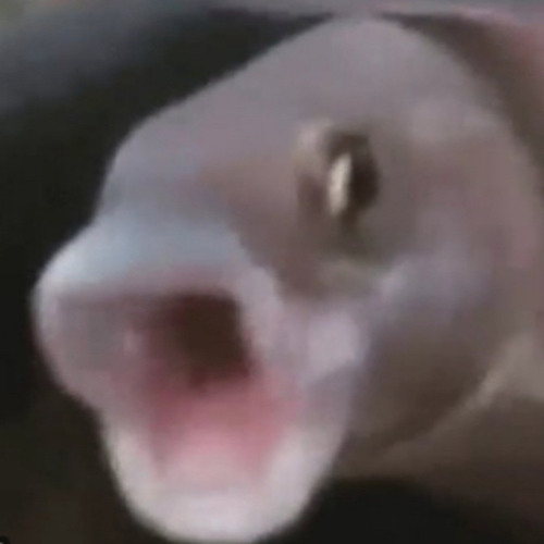 Headie One - Both (Instrumental)