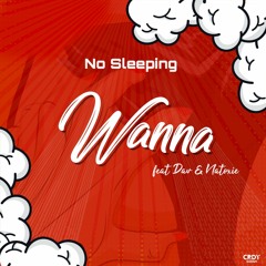 No Sleeping - Wanna ft Natoxie & Dav