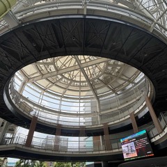 バコバコ