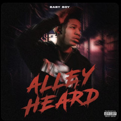 BabyBoy - AlleyHeard