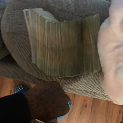 Daily Ducks Ft Bo26 x Kap