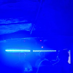 bitter taste of distance (demo)