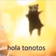odio tonotos