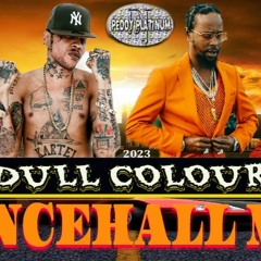 "Dull Colour" Dancehall Mix Vybz Kartel X Popcaan July To August 2023