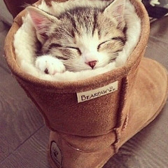 Boots & Cats Mix Vol.3