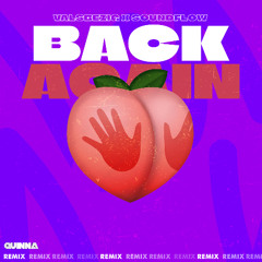 Back Again - Quinna Remix