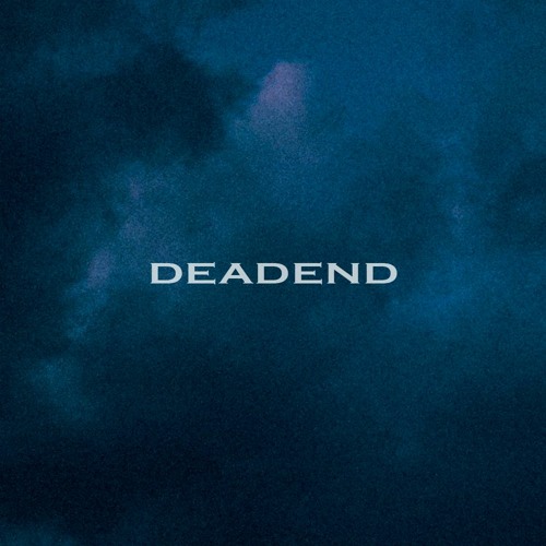 hashir - dead end (camus. remix)