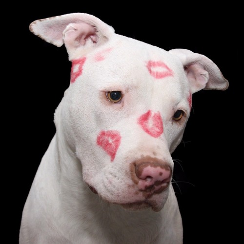 Snow Man 「KISS IN MY LIPS」 Snow Man – KISSIN' MY LIPS Lyrics | Genius Lyrics