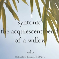 Acquiescent Bend [NaviarHaiku465]