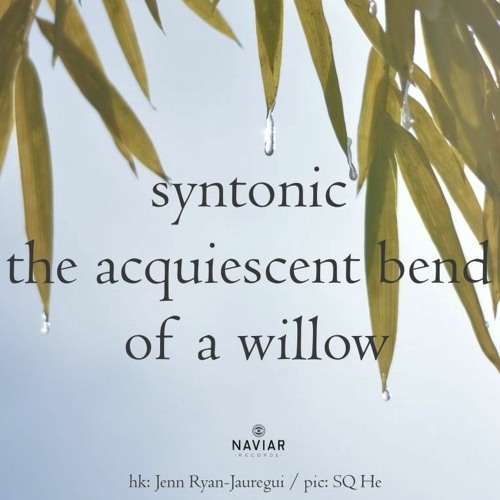 Acquiescent Bend [NaviarHaiku465]