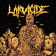 Larvicide - Death Distortion