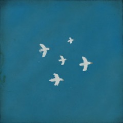 Birds In Blue