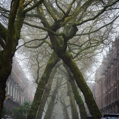 "CHAMBERS"  The Album  (COMING SOON)