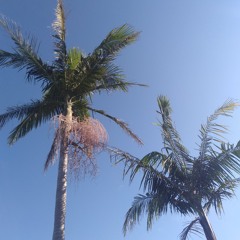 Out There