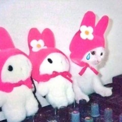 Pre40 - Brak Wolnej Woli