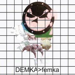 DEMKA >> FE mka