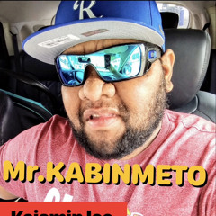 CNW(Kabinmeto cover) inebata