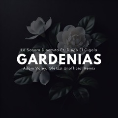 La Sonora Santanera - Dos Gardenias Ft. Diego El Cigala (Adam Valey, Gletzzi Unofficial Remix)