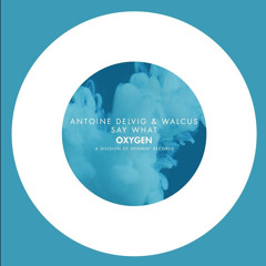Antoine Delvig & Walcus - Say what (Extended mix)
