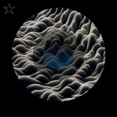 Chaz Moloney -  Making Contact [ FLASH 390 ]