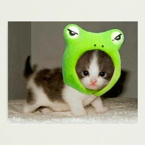 Forced Myself To Make A Whole Song (daily 2)