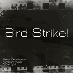 Bird Strike