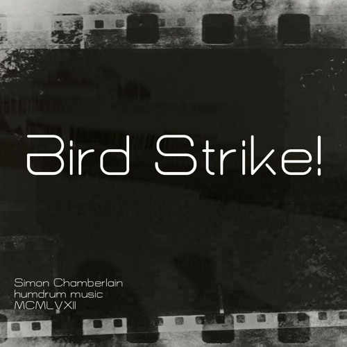 Bird Strike