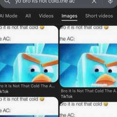 December Samples 2025 ft eddn