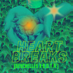 heartbreaks (seychelles x B.O.T.A)