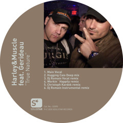 True Nature (Workin' Happily Remix) [feat. Gerideau]
