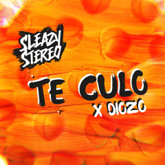 Sleazy Stereo X Diozo - Te Culo 🍑 [OUT NOW ON SPOTIFY]