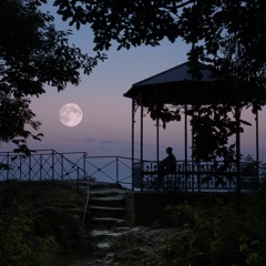 Pamiętam Cię / I remember you