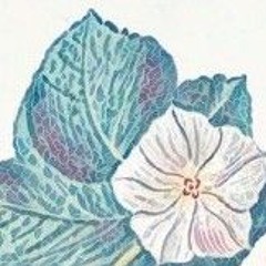 夕顔 （Prod by GRAP）