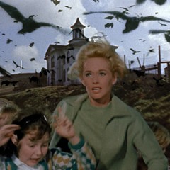 birds + billy prod reo4u
