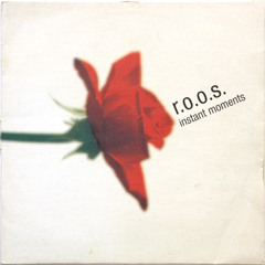 R.O.O.S - Instant Moments ( Nath-D Bootleg ) .mp3