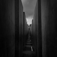 Berghain Techno Podcast #008 | Dunkel