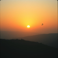 Wonderful Day