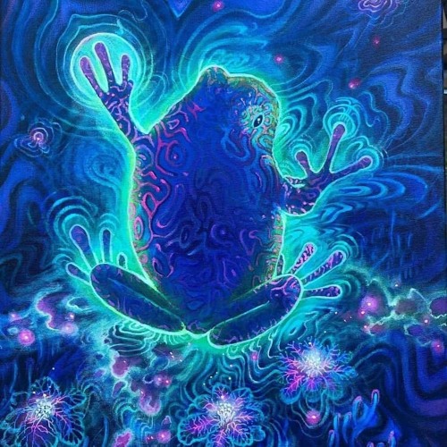 secret in the deep forest .^_^.