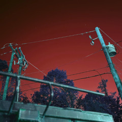 Favorite Boy/Favorite Toy