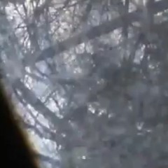 ​