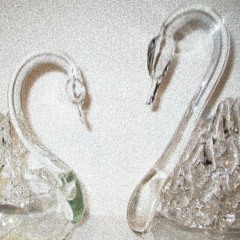 ❄✝❅✞❄SWANZ 4 DAYZ❄✞❅✝❄