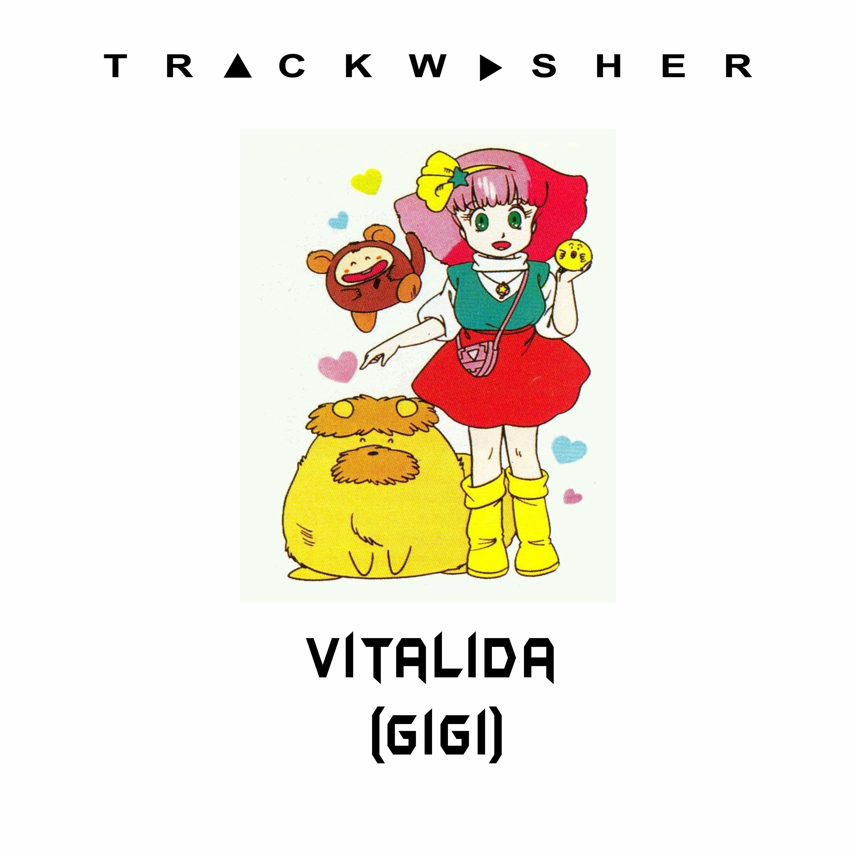 trackwasher