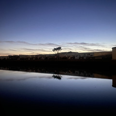 KNOTS (Single Version)