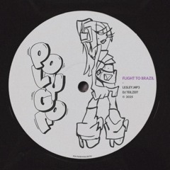 LESLEY.MP3 & DJ TEILZEIT - FLIGHT TO BRAZIL [FREE DL]