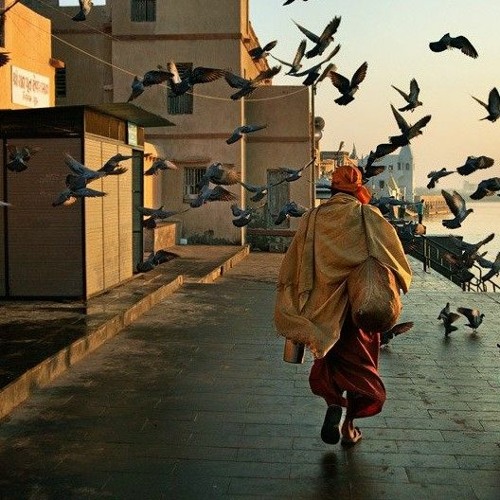 فكَّر وأنت بتتحرك ! .. الشيخ أنس السلطان