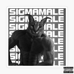 SIGMA MALE
