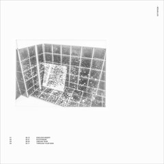 ЖIWI - Endless Misery